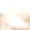White Sleeveless Flowers Embroidered Lace Skirt Girls Pageant Dresses